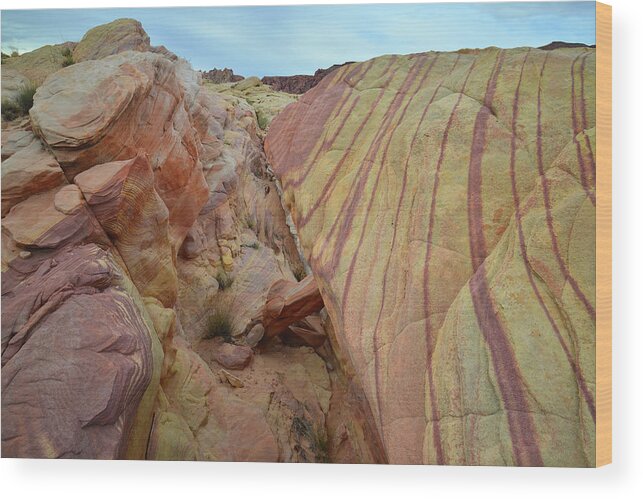 Valley Of Fire State Park Wood Print featuring the photograph Multicolored Sandstone in Valley of Fire #43 by Ray Mathis
