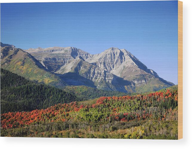 Autumn Wood Print featuring the photograph Rocky Mountain Fall #49 by Mark Smith