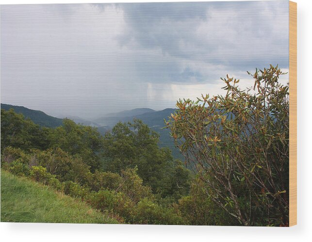 Mountains Wood Print featuring the photograph Blue Ridge Mountains #5 by Ellen Tully