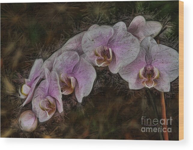 Deborah Benoit. Debsphotocreations Wood Print featuring the painting 5 Dollar Orchid by Deborah Benoit