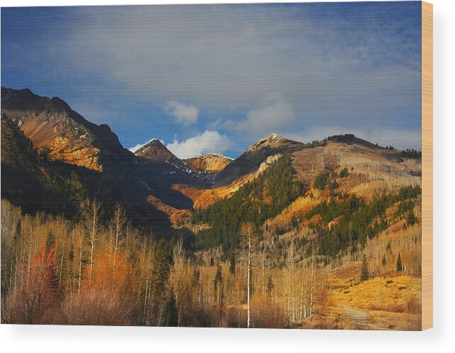Wyoming Wood Print featuring the photograph Fall #5 by Mark Smith