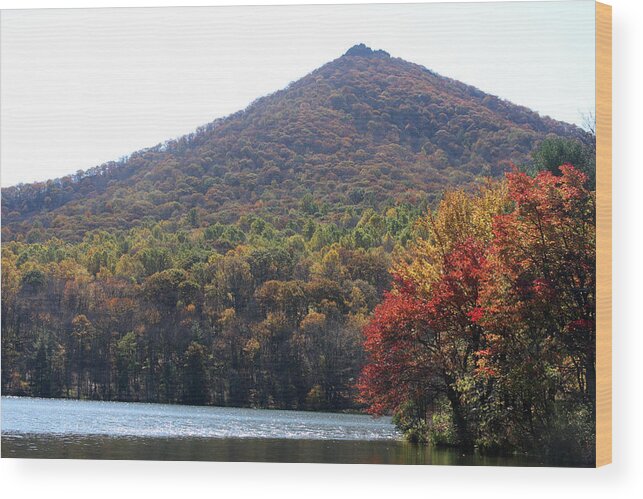 Lake Wood Print featuring the photograph View of Abbott Lake and Sharp Top in autumn #5 by Emanuel Tanjala