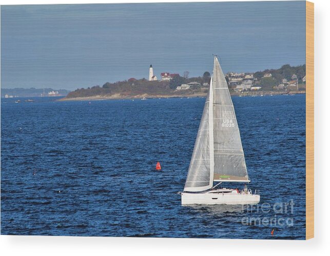Seaside Wood Print featuring the photograph Marblehead MA #52 by Donn Ingemie