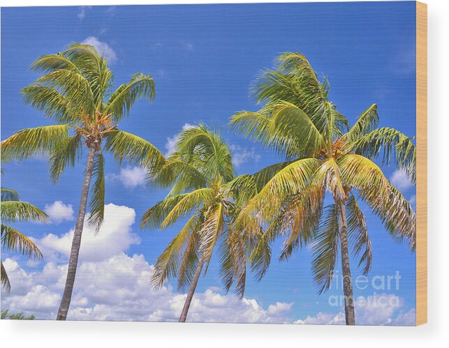 Palm Trees Wood Print featuring the photograph 52- Palms In Paradise by Joseph Keane