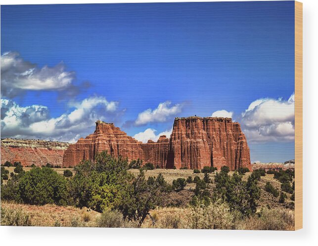 Capitol Reef National Park Wood Print featuring the photograph Capitol Reef National Park #545 by Mark Smith