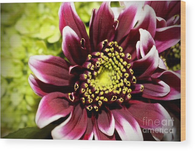 Yellow Wood Print featuring the photograph Flowers #55 by Deena Withycombe