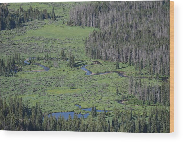 River Wood Print featuring the photograph Scenery Rocky Mountain NP CO by Margarethe Binkley