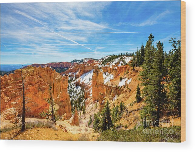 Black Birch Canyon Wood Print featuring the photograph Bryce Canyon Utah #6 by Raul Rodriguez