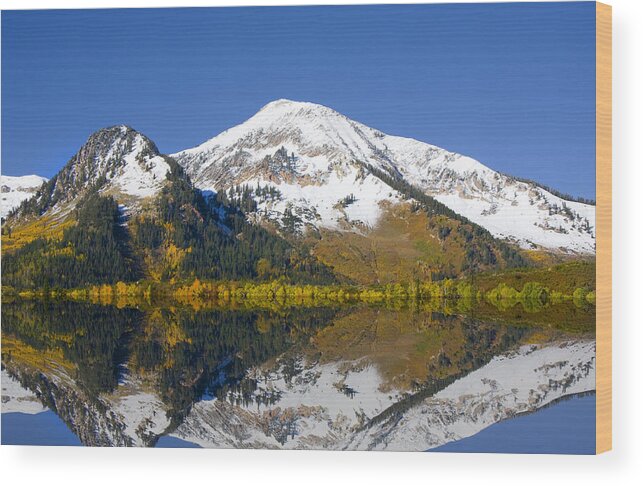 Colors Wood Print featuring the photograph Fall Colors by Mark Smith
