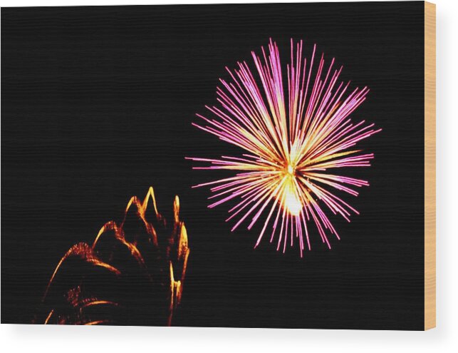 Firework Wood Print featuring the photograph Fireworks #6 by Donn Ingemie