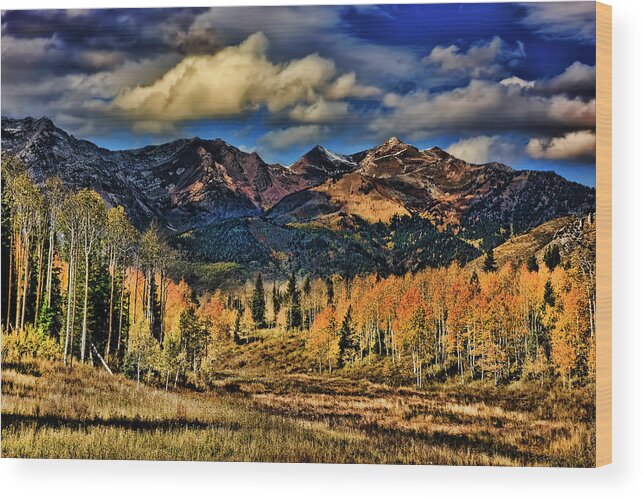Autumn Wood Print featuring the photograph Rocky Mountain Fall #6 by Mark Smith