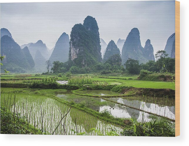 Landscape Wood Print featuring the photograph The beautiful karst rural scenery in spring #6 by Carl Ning