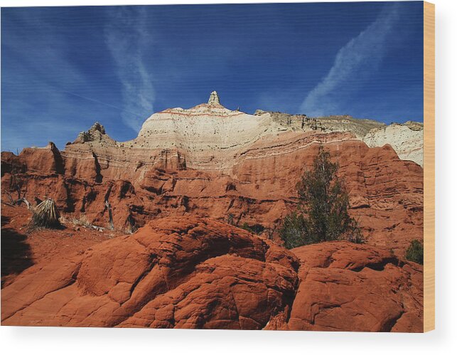 Red Rock Wood Print featuring the photograph Kodachrome Basin #68 by Mark Smith