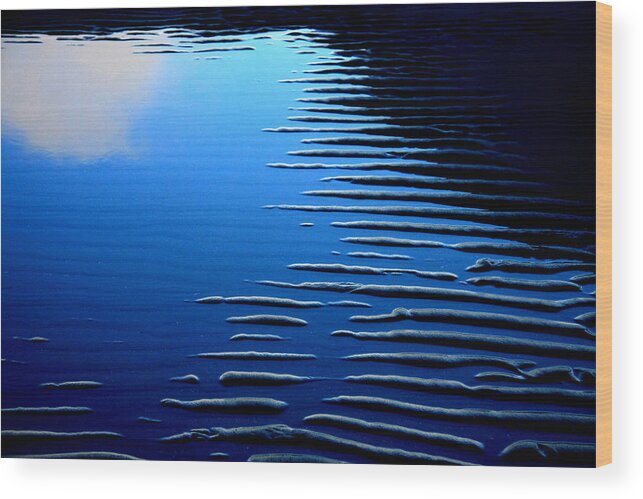Blue Wood Print featuring the photograph 7 In Blue by Kreddible Trout