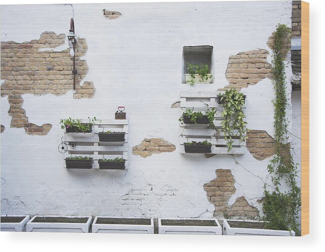 Pallet Wood Print featuring the photograph Pallet ideas for gardening #7 by Newnow Photography By Vera Cepic