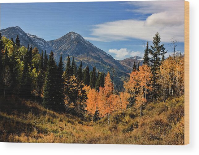 Autumn Wood Print featuring the photograph Rocky Mountain Fall #7 by Mark Smith