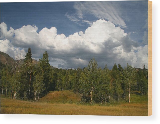 Background Wood Print featuring the photograph Rocky Mountains #7 by Mark Smith