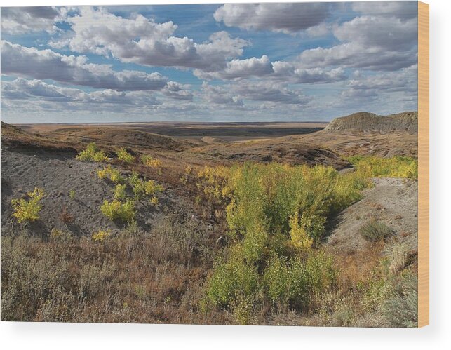 Canada Wood Print featuring the photograph 70 Mile Butte Trail by Allan Van Gasbeck