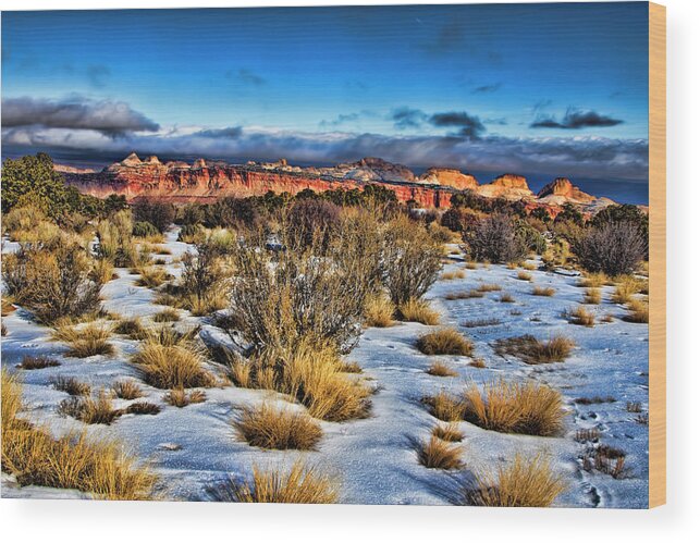 Capitol Reef National Park Wood Print featuring the photograph Capitol Reef National Park #707 by Mark Smith