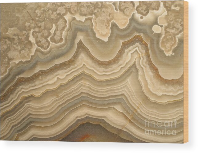 Agate Wood Print featuring the photograph Agate #8 by Ted Kinsman