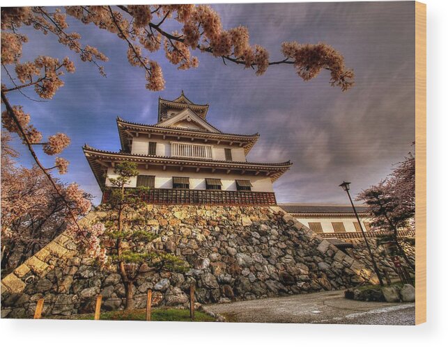Nagahama Japan Wood Print featuring the photograph Nagahama Japan #8 by Paul James Bannerman