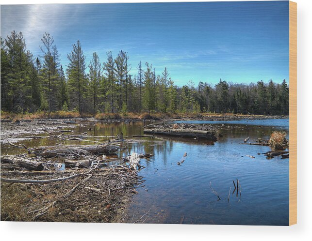 8th Lake Channel Wood Print featuring the photograph 8th Lake Channel by David Patterson