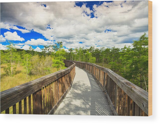 Everglades Wood Print featuring the photograph Florida Everglades #9 by Raul Rodriguez