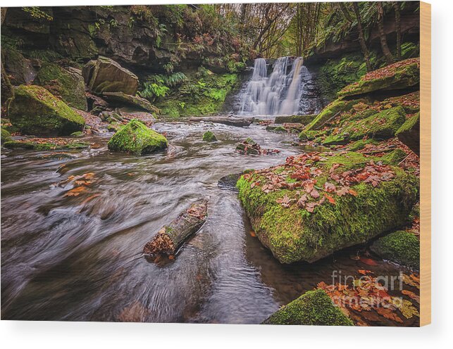 Waterfall Wood Print featuring the photograph Goit Stock Waterfall #8 by Mariusz Talarek