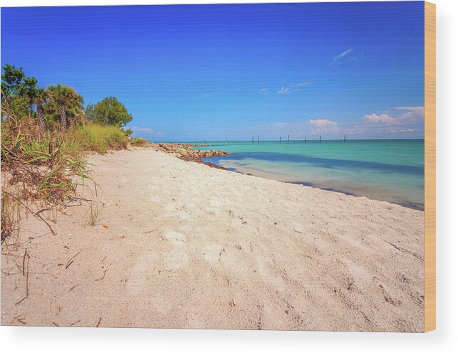 Beach Wood Print featuring the photograph A Beautiful Island Day by Doug Camara