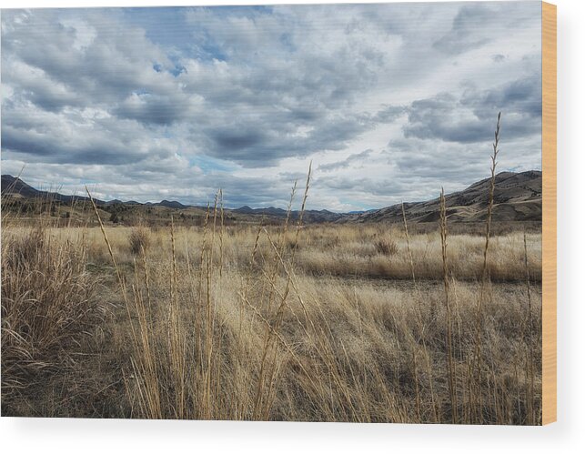 Landscape Wood Print featuring the photograph A Bit of Central Oregon by Belinda Greb