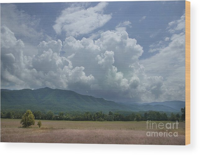 Cades Cove Wood Print featuring the photograph A Cades Cove Afternoon by Mike Eingle