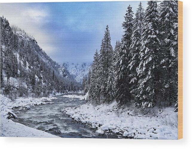 A Cold Winter Day Wood Print featuring the photograph A cold winter day by Lynn Hopwood