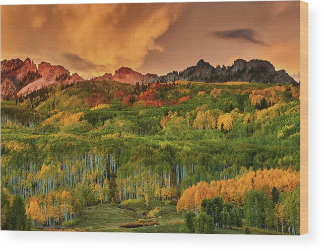 Sunset Wood Print featuring the photograph A Colorado Autumn Along Kebler by John De Bord