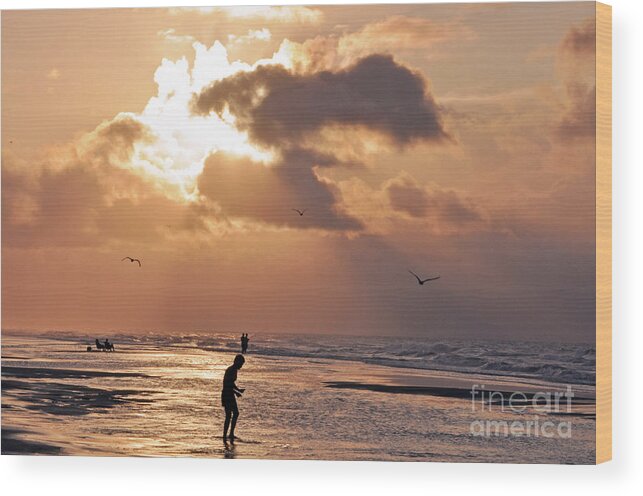 Beach Wood Print featuring the photograph A Crescent Beach Morning by Lydia Holly