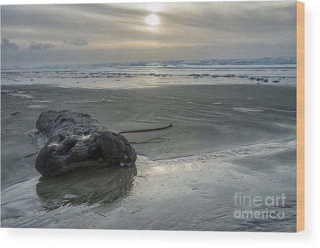 Beach Wood Print featuring the photograph A Day At The Beach by Craig Leaper