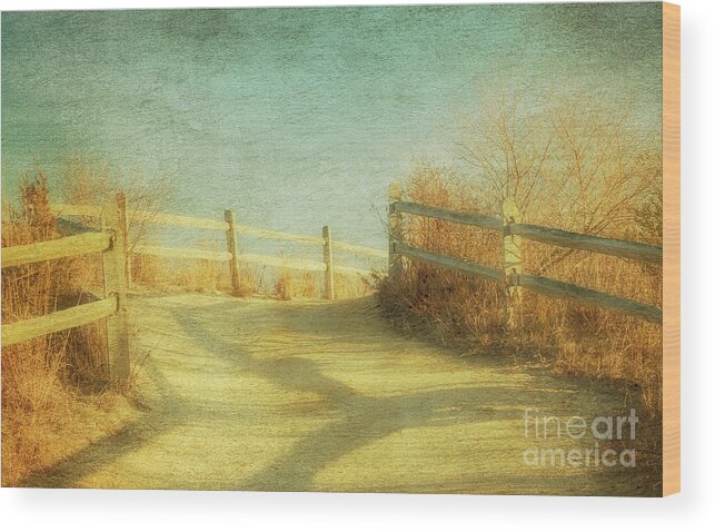 Dune Grass Wood Print featuring the photograph A Day at the Shore by Debra Fedchin
