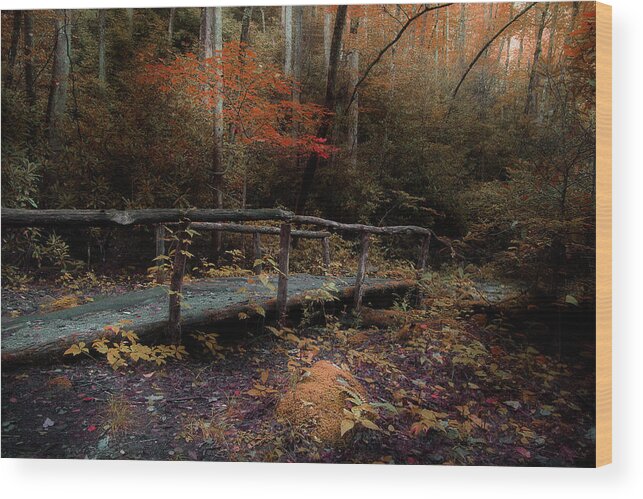 Nature Trail Bridge Wood Print featuring the photograph A Day Hiking by Mike Eingle