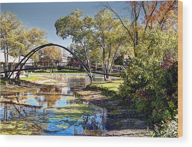 Park Wood Print featuring the photograph A Day in the Park by Deborah Klubertanz