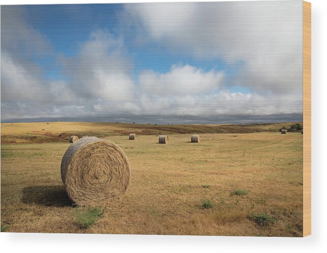 Details about   Photography Print of Hay Bale on Open Prairie in South Dakota 