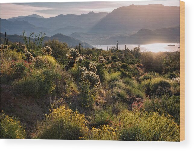 Arizona Wood Print featuring the photograph A Desert Spring Morning by Saija Lehtonen