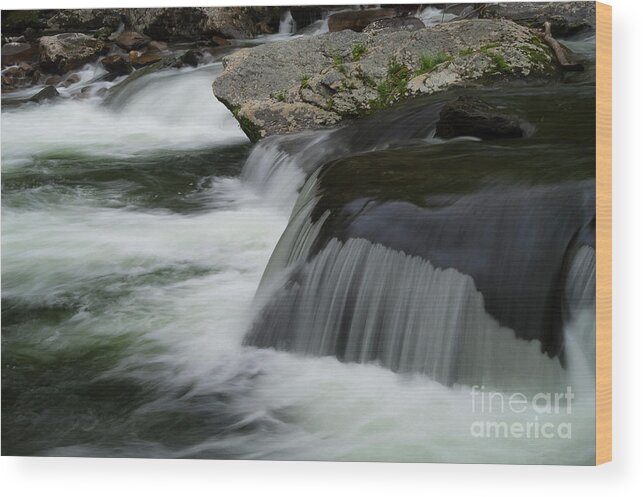 Great Smoky Mountains National Park Wood Print featuring the photograph A Drop in the Water Level by Bob Phillips