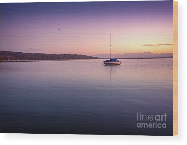 Ammersee Wood Print featuring the photograph A Fragile Moment by Hannes Cmarits