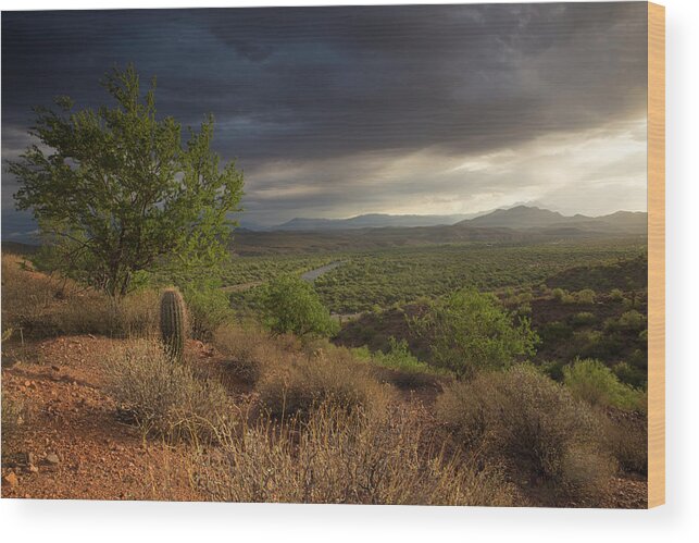 Landscape Wood Print featuring the photograph A New Beginning by Sue Cullumber