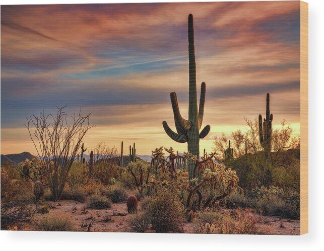 Saguaro Sunset Wood Print featuring the photograph A Pastel Desert Winter by Saija Lehtonen