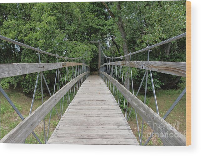 Bridge Wood Print featuring the photograph A Path Into the Forest by Steve Triplett