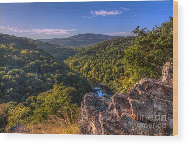 Lees Bluff Wood Print featuring the photograph A Perfect Machine. by Larry Braun