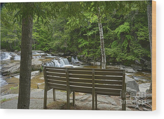 Rest Wood Print featuring the photograph A Place to Rest by Alana Ranney