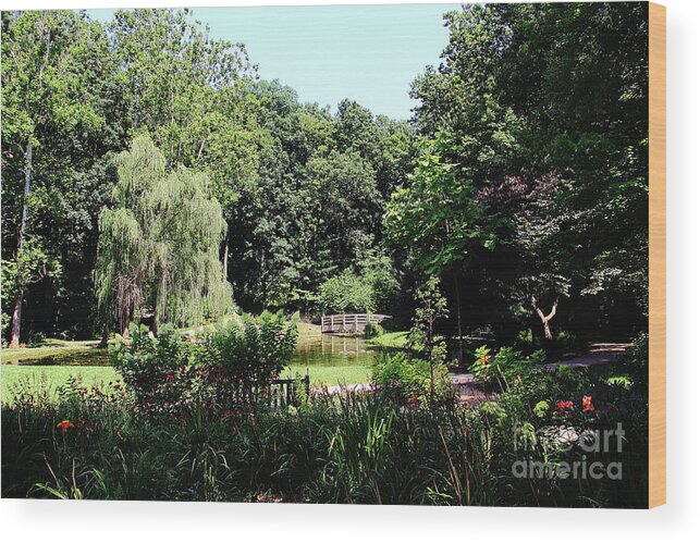 Jmu Arboretum Wood Print featuring the photograph A Quiet Place by Allen Nice-Webb