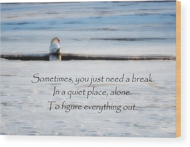 Motivational Wood Print featuring the photograph A Quiet Place Alone by Bill Wakeley