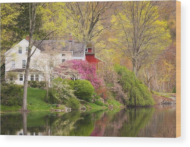 Spring Wood Print featuring the photograph A Respite of Spring by Kim Carpentier